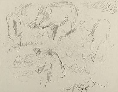 Robert Hainard - Sangliers à la souille (croquis) - Copyright Fondation Hainard