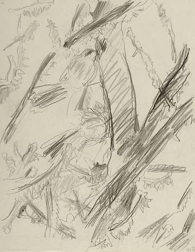 Robert Hainard - Mésanges à longue queue dans le givre (croquis) - Copyright Fondation Hainard