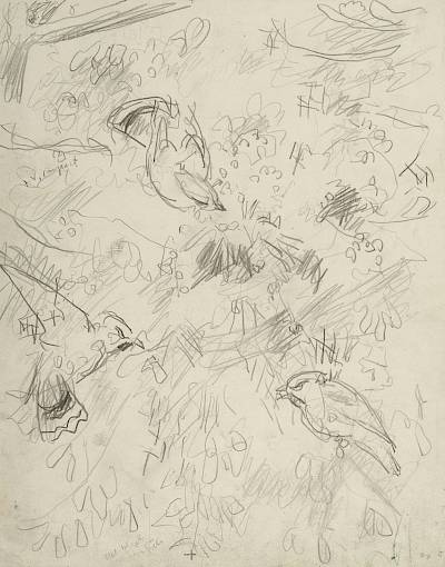 Robert Hainard - Trois jaseurs (croquis) - Copyright Fondation Hainard