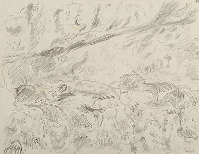 Robert Hainard - Aire de gypaètes (croquis) - Copyright Fondation Hainard