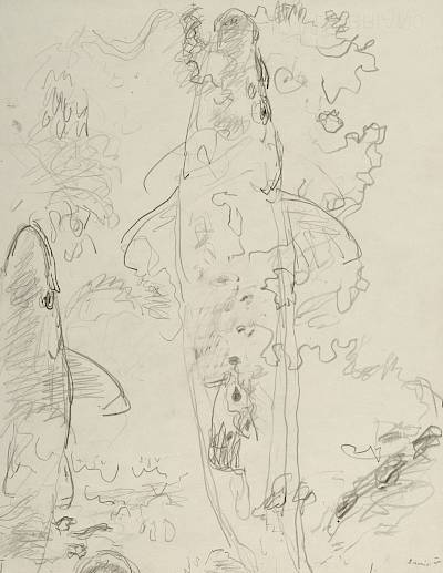 Robert Hainard - Le grand saumon (croquis) - Copyright Fondation Hainard