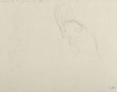 verso - Copyright Fondation Hainard