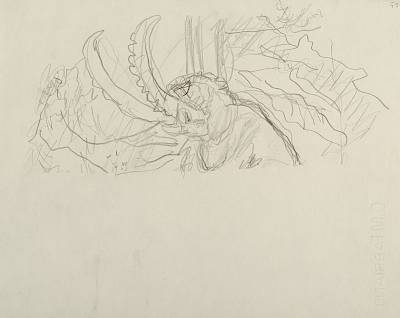 Robert Hainard - Combat de bouquetins II (croquis) - Copyright Fondation Hainard