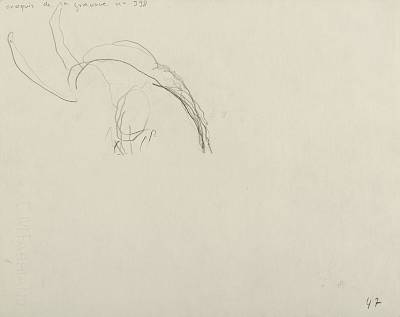 verso - Copyright Fondation Hainard