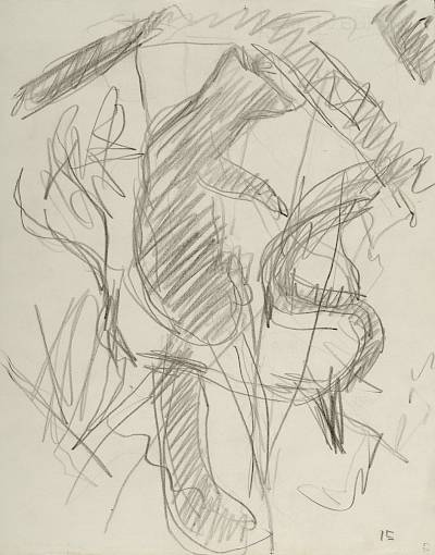 Robert Hainard - Martre dans le branchage (croquis) - Copyright Fondation Hainard