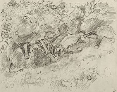 Robert Hainard - Famille de blaireaux au terrier (croquis) - Copyright Fondation Hainard