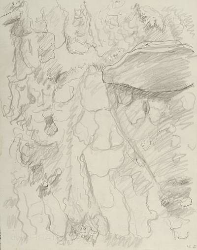 Robert Hainard - Pic tridactyle et polypore (croquis) - Copyright Fondation Hainard