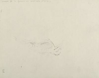 verso - Copyright Fondation Hainard