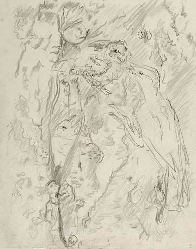 Robert Hainard - Nichée de torcols (croquis) - Copyright Fondation Hainard