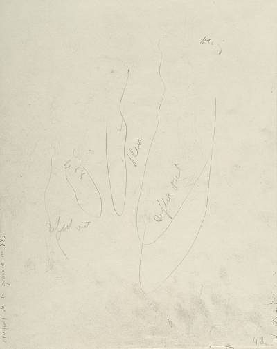 verso - Copyright Fondation Hainard