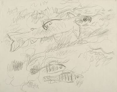 Robert Hainard - Ombre et perchettes - Copyright Fondation Hainard