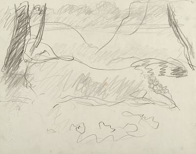 Robert Hainard - Chat sauvage devant l'étang (croquis) - Copyright Fondation Hainard