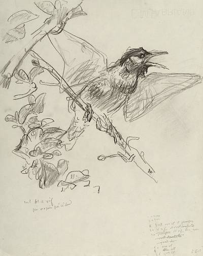 Robert Hainard - Le petit moulin à vent (croquis) - Copyright Fondation Hainard