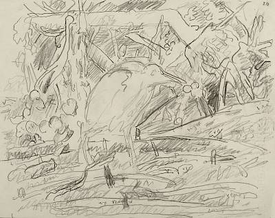 Robert Hainard - Blongios en pêche (croquis) - Copyright Fondation Hainard