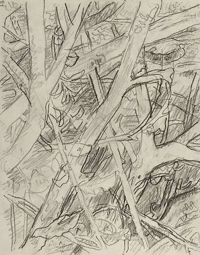 Robert Hainard - Blongios (croquis) - Copyright Fondation Hainard