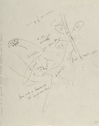 verso - Copyright Fondation Hainard