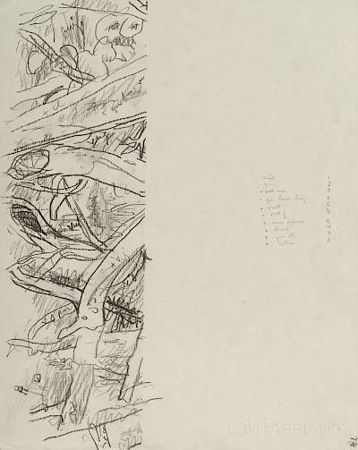 Robert Hainard - Blongios (croquis) - Copyright Fondation Hainard