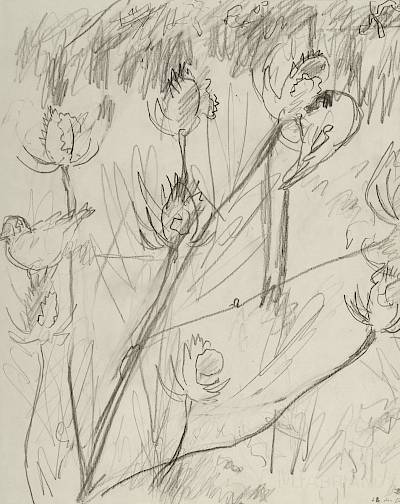 Robert Hainard - Chardonnerets (croquis) - Copyright Fondation Hainard