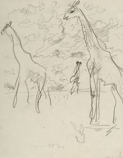 Robert Hainard - Trois girafes (croquis) - Copyright Fondation Hainard