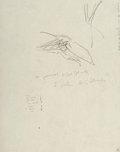 verso - Copyright Fondation Hainard