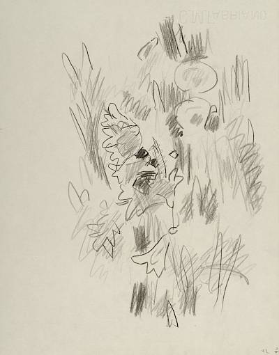 Robert Hainard - Lis de St Bruno au clair de lune (croquis) - Copyright Fondation Hainard