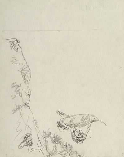 Robert Hainard - Grimpereau de rochers descendant à son nid (croquis) - Copyright Fondation Hainard
