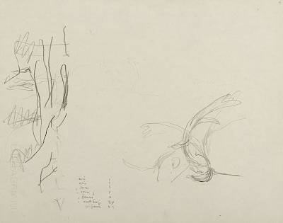 Robert Hainard - Combat de cerfs (croquis) - Copyright Fondation Hainard