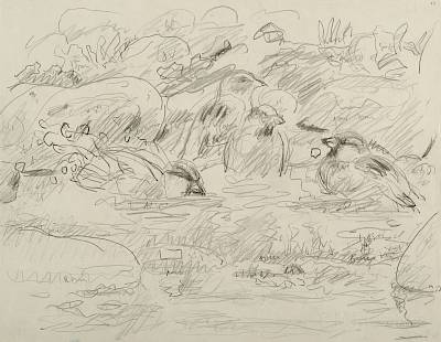 Robert Hainard - Le bain des moineaux (croquis) - Copyright Fondation Hainard