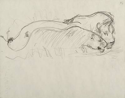 Robert Hainard - Couple de lions (croquis) - Copyright Fondation Hainard