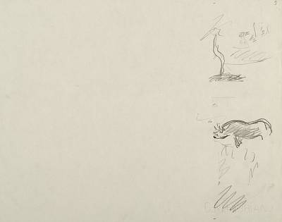 Robert Hainard - Eléphant et combat de rhinocéros (croquis) - Copyright Fondation Hainard