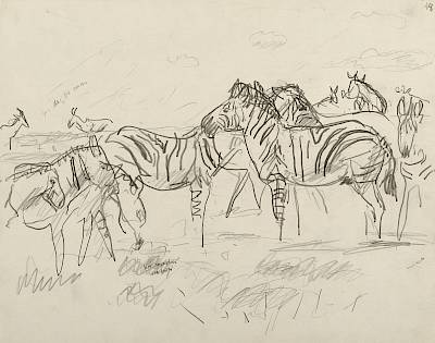 Robert Hainard - Zèbres et bubales (croquis) - Copyright Fondation Hainard
