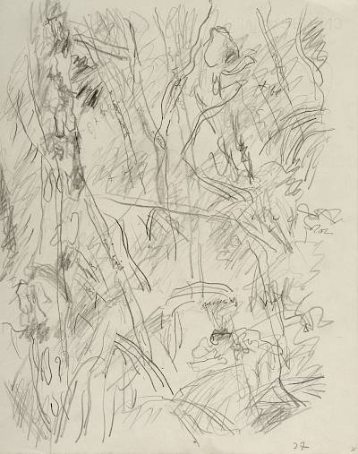 Robert Hainard - Broussailles et papillon citron (croquis) - Copyright Fondation Hainard
