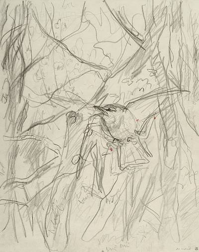 Robert Hainard - Pouillot siffleur chantant (croquis) - Copyright Fondation Hainard