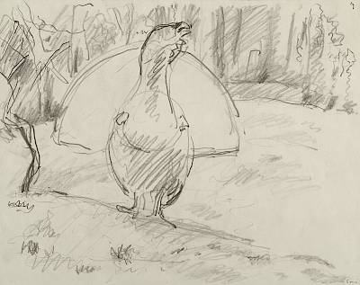 Robert Hainard - Grand coq à l'aube, sous la pluie (croquis) - Copyright Fondation Hainard
