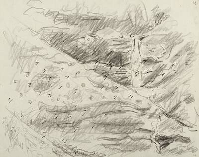 Robert Hainard - Vol de niverolles (croquis) - Copyright Fondation Hainard