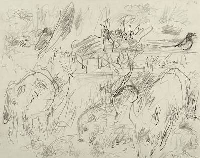 Robert Hainard - Sangliers avec une pie (croquis) - Copyright Fondation Hainard