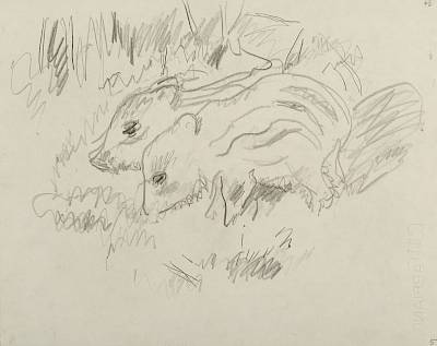 Robert Hainard - Deux marcassins se chauffent au soleil (croquis) - Copyright Fondation Hainard