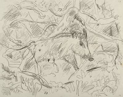 Robert Hainard - Laie se grattant et deux marcassins (croquis) - Copyright Fondation Hainard