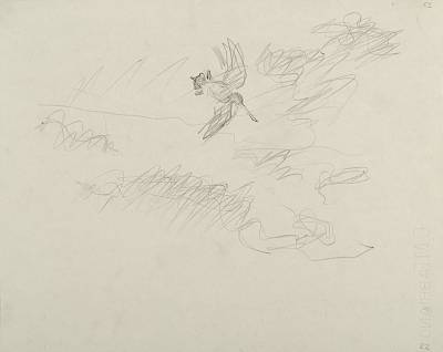 Robert Hainard - Bécassine chevrotant (croquis) - Copyright Fondation Hainard