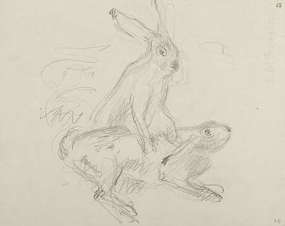 Robert Hainard - Bagarre de lièvres (croquis) - Copyright Fondation Hainard