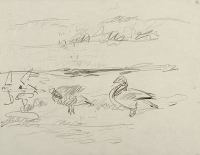 Robert Hainard - Deux bernaches cravants (croquis) - Copyright Fondation Hainard