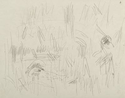 Robert Hainard - Dans les roseaux (croquis) - Copyright Fondation Hainard
