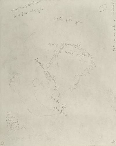 verso - Copyright Fondation Hainard