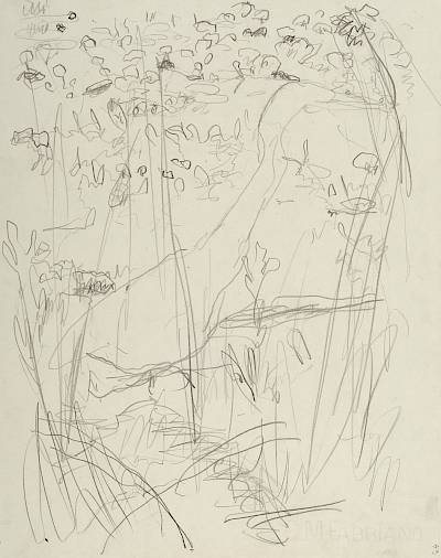 Robert Hainard - Grande aigrette (croquis) - Copyright Fondation Hainard