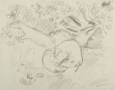 Robert Hainard - Blaireaux, femelle et jeune (croquis) - Copyright Fondation Hainard