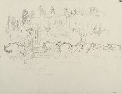 Robert Hainard - Troupe de bisons galopant (croquis) - Copyright Fondation Hainard