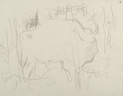 Robert Hainard - Le bison solitaire (croquis) - Copyright Fondation Hainard