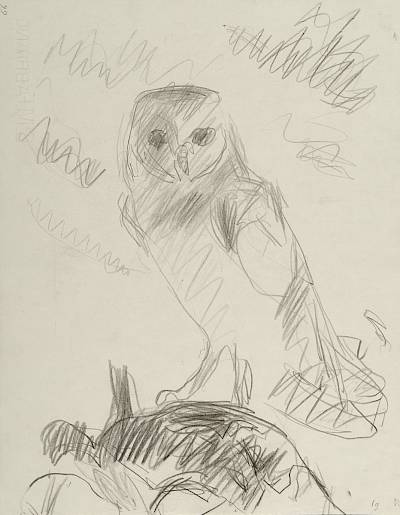 Robert Hainard - Effraie au clair de lune (croquis) - Copyright Fondation Hainard