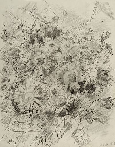 Robert Hainard - Chardons d'argent dans la neige fondante (croquis) - Copyright Fondation Hainard