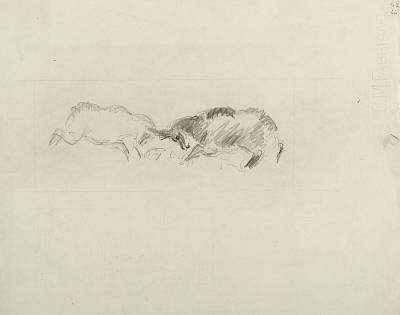 Robert Hainard - Accrochage de chamois (croquis) - Copyright Fondation Hainard